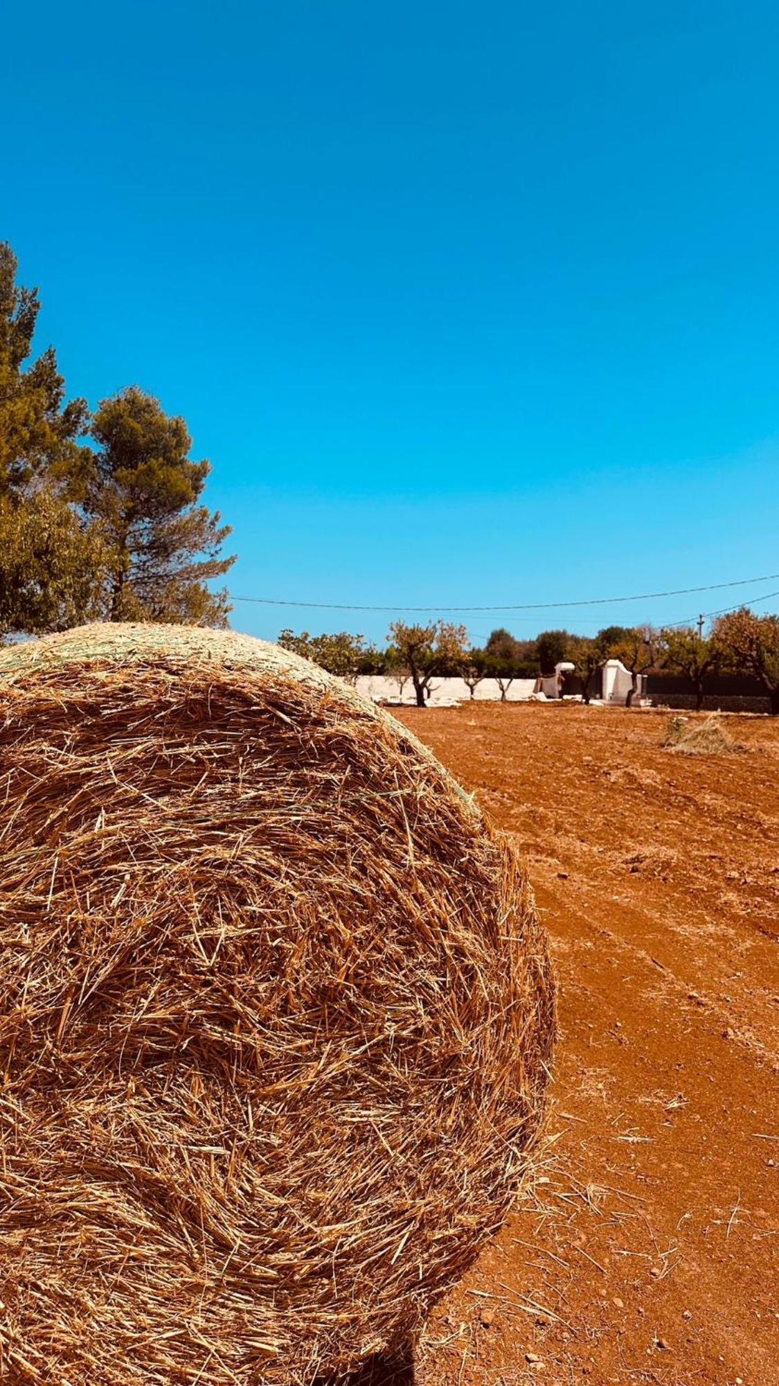 Ca Summa Agriresort Ostuni Exterior photo