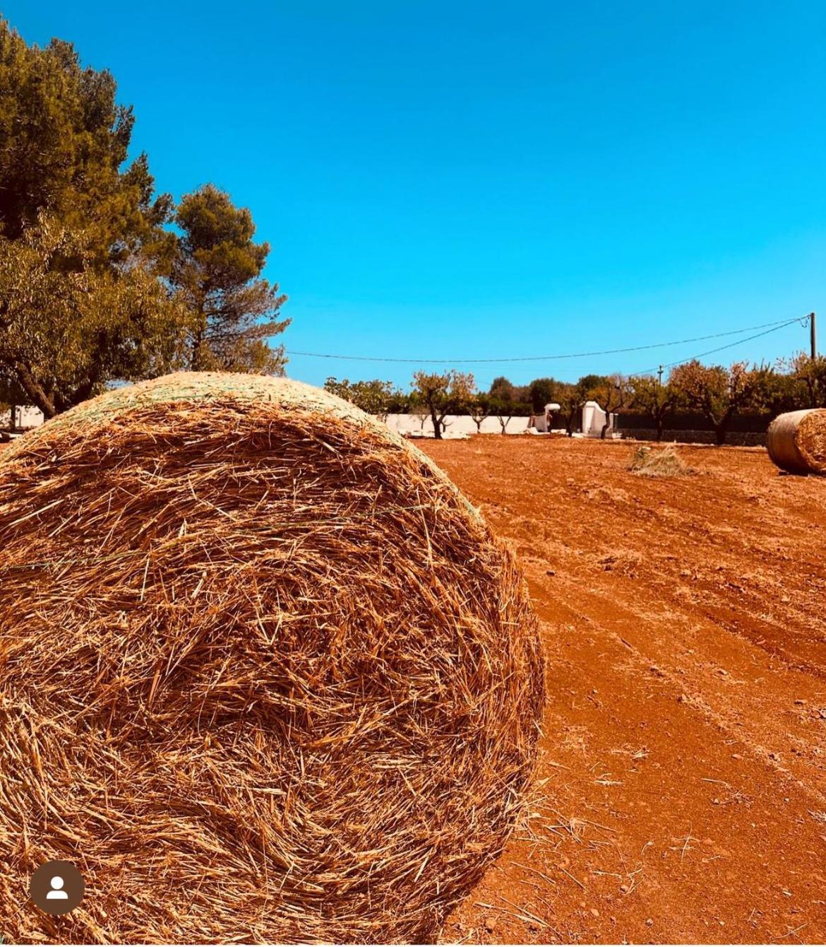 Ca Summa Agriresort Ostuni Exterior photo